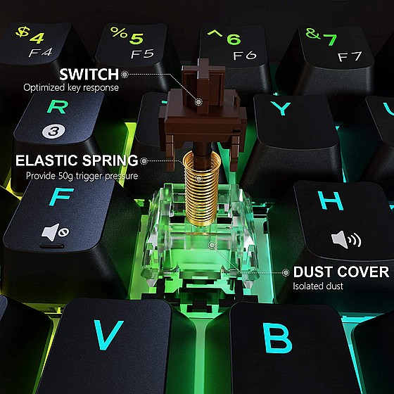 ����� ������� ������� �����  ���� ���  ,60% ���� ����� �� , Brown switch