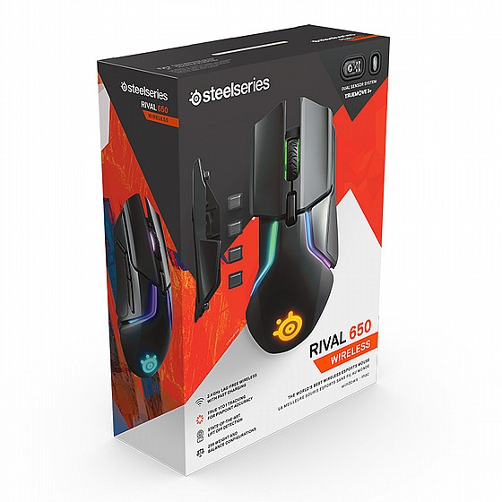 ���� ������ �������� SteelSeries Rival 650